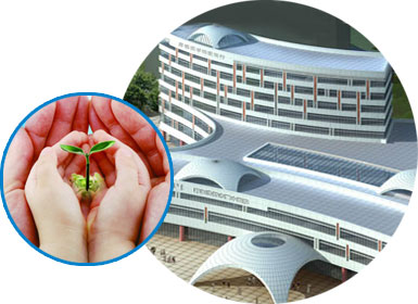 护理文化 护理文化