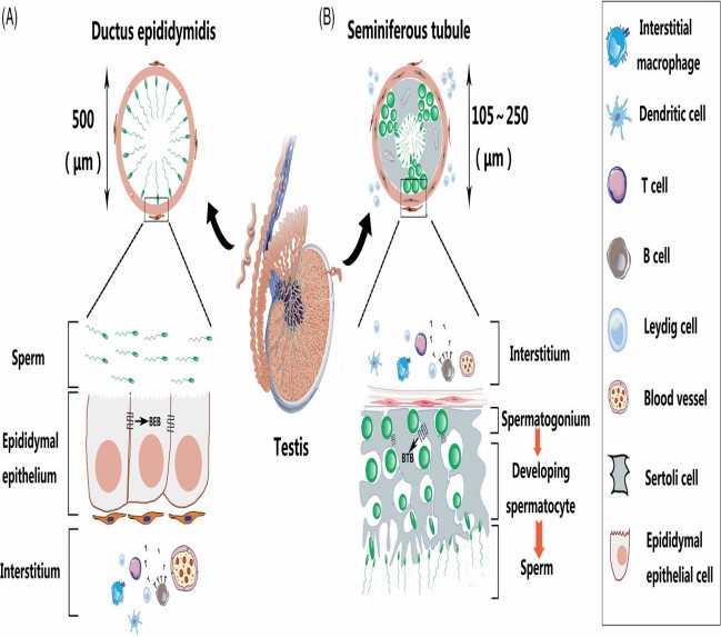 1685411604502611.jpg 111.jpg
